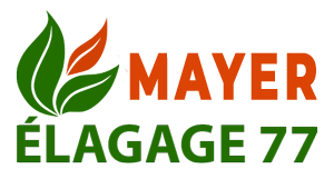 elagage-mayer-elagage-77