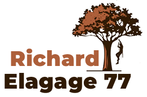 elagage-richard-elagage-77